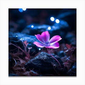 up close on a black rock in a mystical fairytale forest, alice in wonderland, mountain dew, fantasy, mystical forest, fairytale, beautiful, flower, purple pink and blue tones, dark yet enticing, Nikon Z8 6 Canvas Print