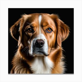 Portrait Of A Dog 4 Canvas Print