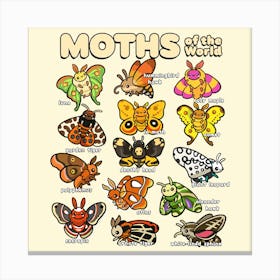 Moths Of The World Stampe su tela