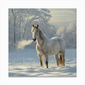 White Horse In The Snow 7 Canvas Print