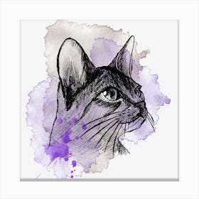 Syrian Cat Canvas Print