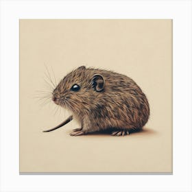 Mouse Canvas Print