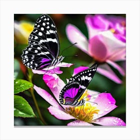 Butterflies On Roses 1 Canvas Print