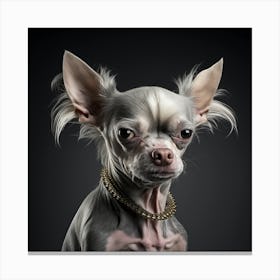 Chihuahua Portrait 1 Canvas Print