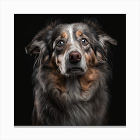 Portrait Of Australian Shepherd Dog Canvas Print