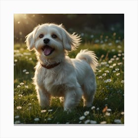 White Dog Standing In A Field Canvas Print