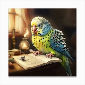 Budgie Bird 2 Canvas Print