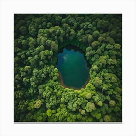 Pond In The Forest Canvas Print