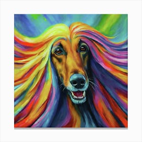 Afghan Hound 2 Canvas Print