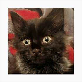 Beautythecat Canvas Print