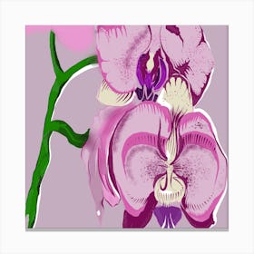 Pink Orchid Canvas Print