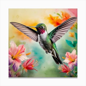 Hummingbird Canvas Print