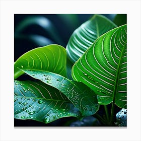 Tropical Leaves Macro Photography Close Up Hyper Detailed Trending On Artstation Shar (2) Canvas Print