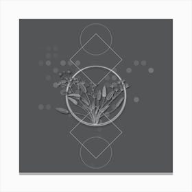 Vintage Starfruit Botanical with Line Motif and Dot Pattern in Ghost Gray n.0032 Canvas Print