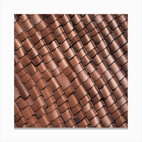 Brown Tile Roof 2 Canvas Print