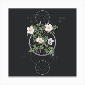 Vintage White Candolle's Rose Botanical with Geometric Line Motif and Dot Pattern n.0265 Canvas Print