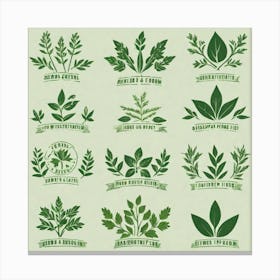 Green Leaf Set Canvas Print