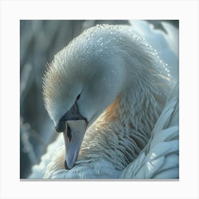 Sleepy Swan Canvas Print