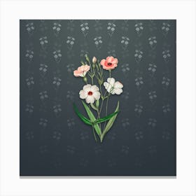 Vintage Dark Eyed Viscaria Flower Botanical on Slate Gray Pattern n.2435 Canvas Print