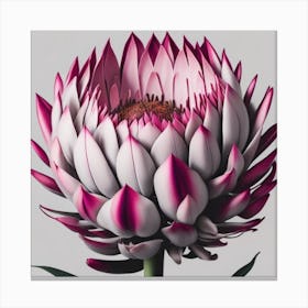 Protea myluckycharm Canvas Print