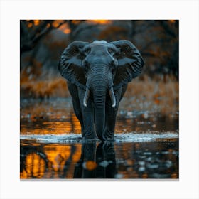 Elephant At Sunset Canvas Print