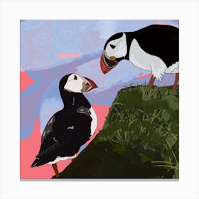 He’s Looking at you Puffin Canvas Print
