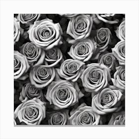 Black And White Roses 27 Canvas Print