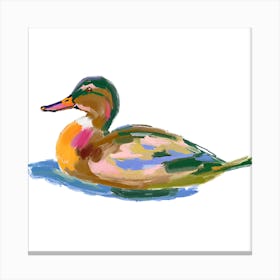 Duck 10 1 Canvas Print
