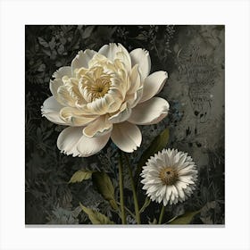 'Peonies' 1 Canvas Print