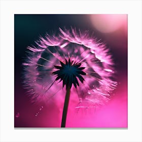 Fluffy Pink Dandelion Canvas Print