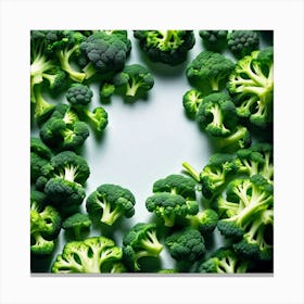 Green Broccoli On White Background Canvas Print