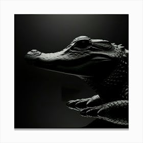 Alligator 4 Canvas Print