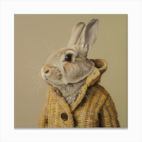 Rabbit In A Coat Canvas Print