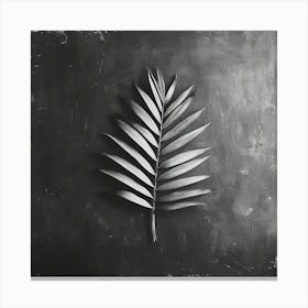 Palm Leaf Canvas Print