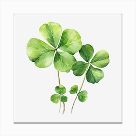 Four Leaf Clover 14 Canvas Print