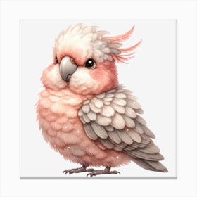 Galah Canvas Print