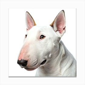 Bull Terrier Dog Portrait Stampe su tela