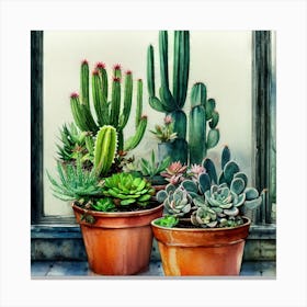 Cacti And Succulents 9 Canvas Print