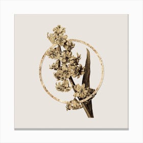 Gold Ring Oriental Hyacinth Glitter Botanical Illustration n.0226 Canvas Print