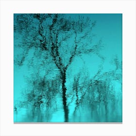 Feeling Blue... Canvas Print