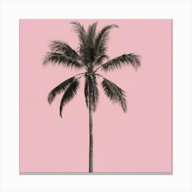 A Lone Palm Pink Art Print Canvas Print