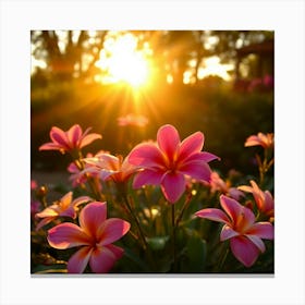 Pink Flowers At Sunset Canvas Print