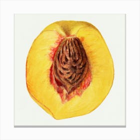 Peach 4 Canvas Print