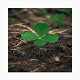 A four-leaf clover Canvas Print