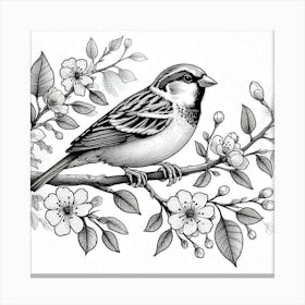 Line Art sparrow 3 Canvas Print