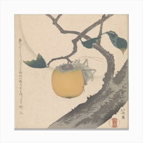 Moon, Persimmon And Grasshopper, Katsushika Hokusai Canvas Print