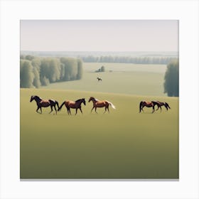 Horses In The Field 7 Canvas Print
