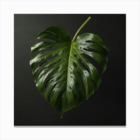 Monstera Leaf Canvas Print