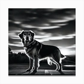 Sunset Dog Canvas Print