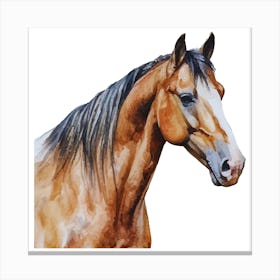 Horse Watercolor Painting.uk 1 Canvas Print